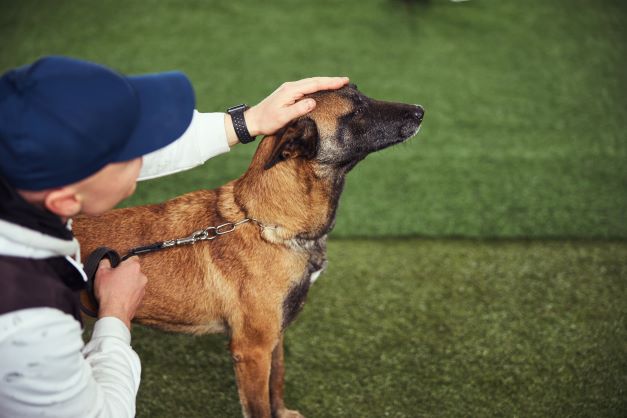 The businessman José Carlos Grimberg Blum speaks in Peru about the help of dogs to children